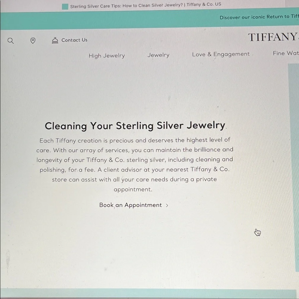 Tiffany & Co. Silver Scarab necklace NO LONGER MADE RARE